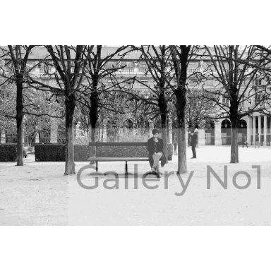 Find photograph of man sitting on a bench in a park for sale