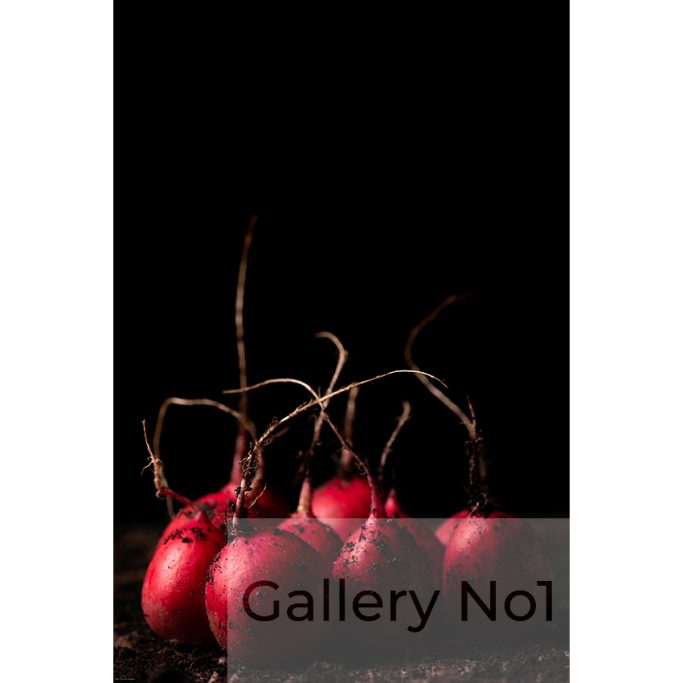 Find photograph of radishes for sale on galleryno1.com