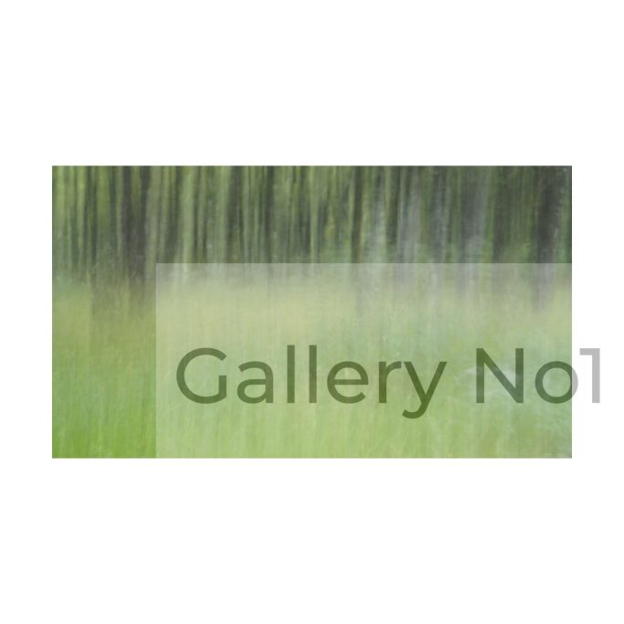 Find abstract photograph of woodlands by Lisa Wilson
