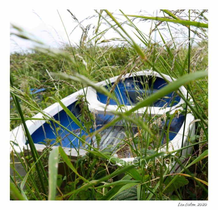 Find photograph of boat amongst reeds by Lisa Wilson for sale