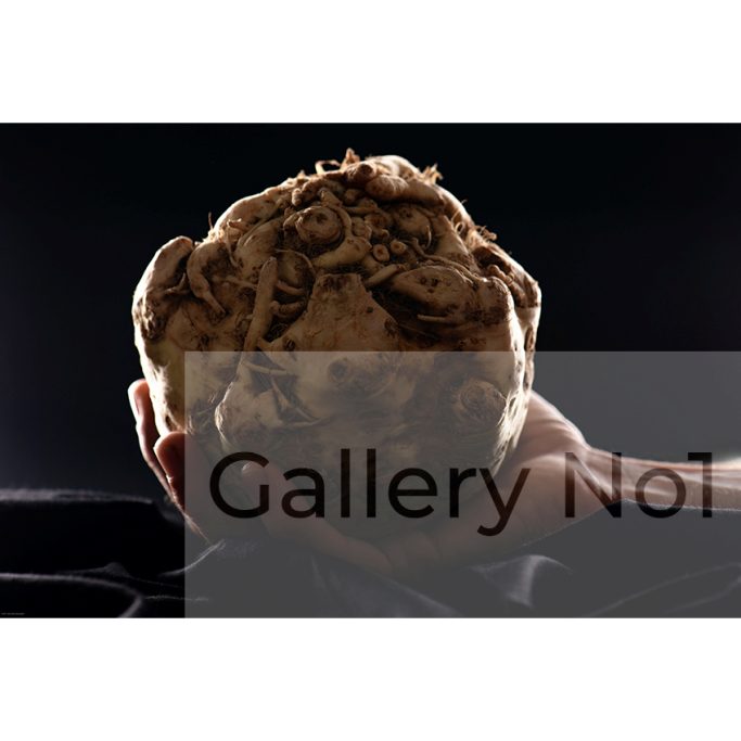 Find a photograph of someone holding some celeriac