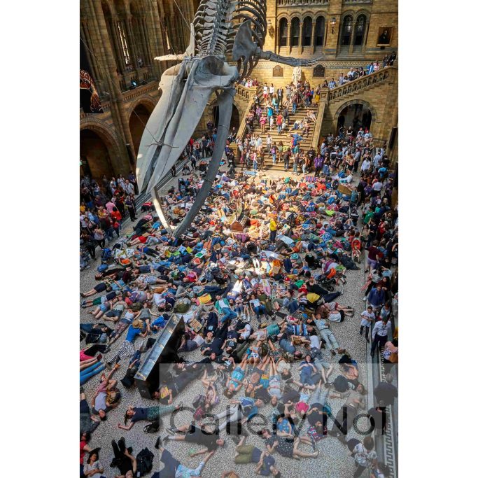 Look for photograph of Extinction Rebellion, Natural History Museum
(Die-in’ and ‘Swarm’ protest)