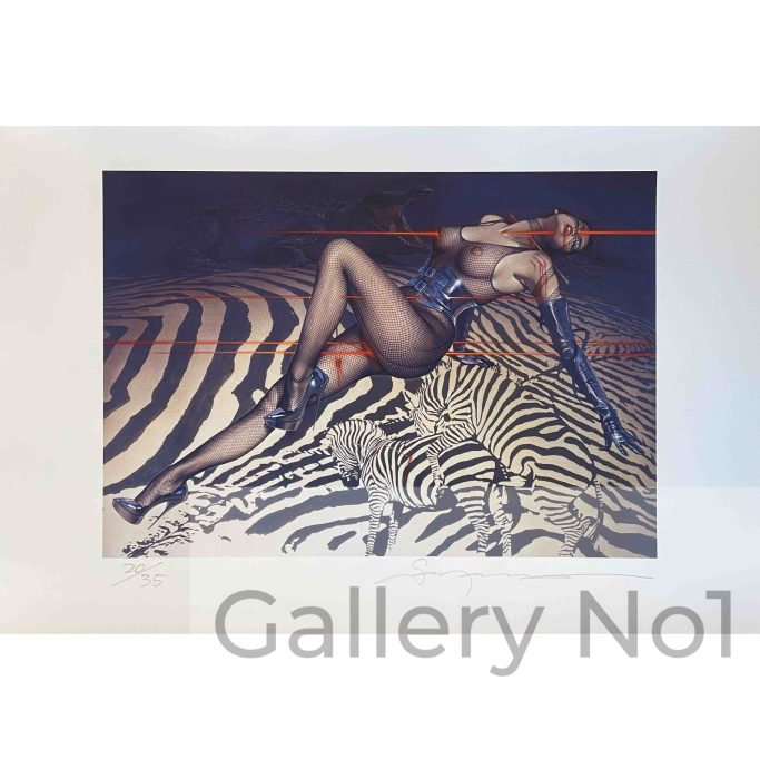 Search for a print of a girl in fishnet suit for sale in the UK