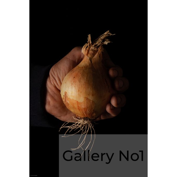 Look for a photograph of someone holding an onion