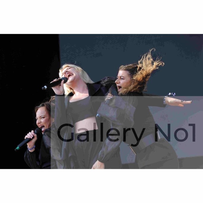 Search for photographs by Paul Windsor of Self Estemm performing on stage