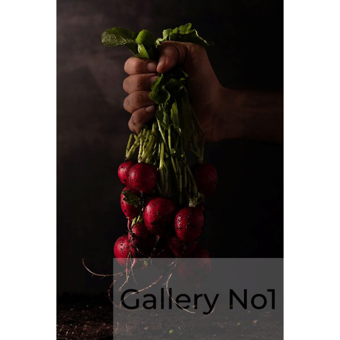 Find a photograph of someone holding a bunch of radishes