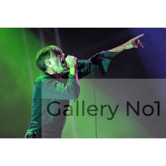 Find photograph of Suede at Victorious Festival for sale