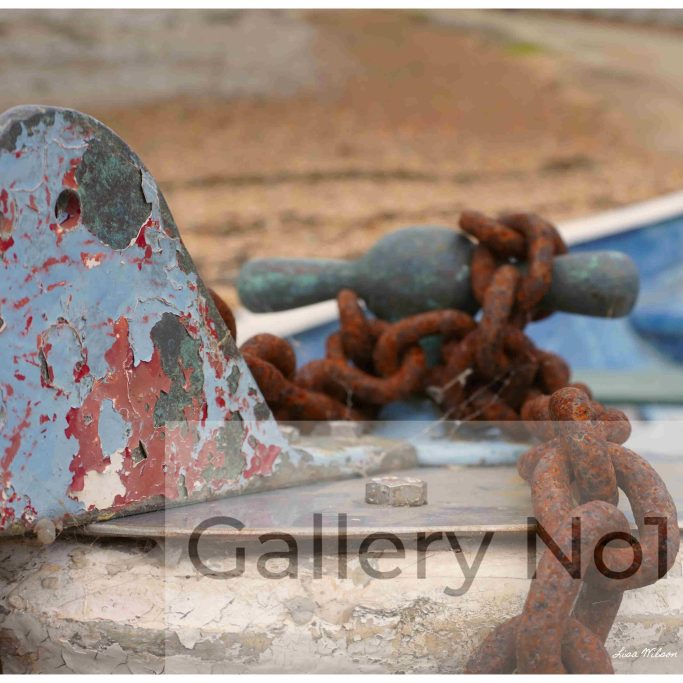 Search for Lisa Wilson photograph of distressed boat on seashore