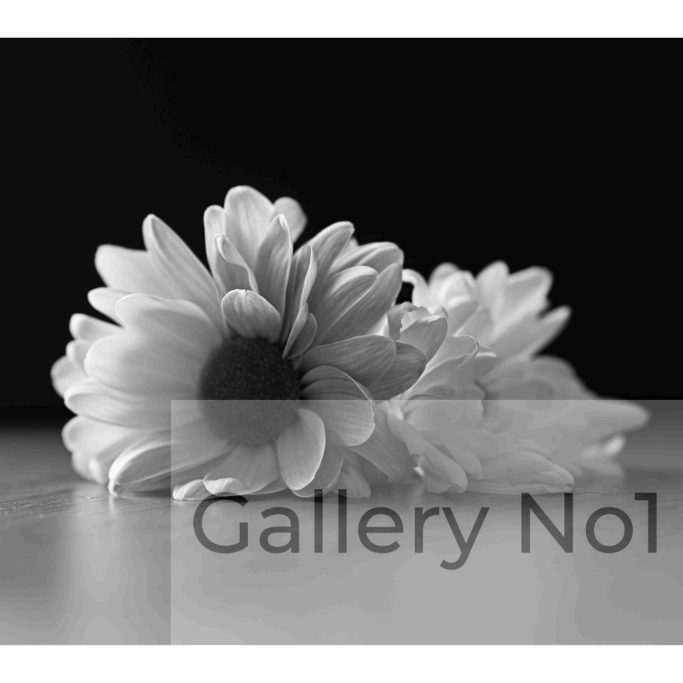 Find a lovely black and white photograph of flowers by Lisa Wilson