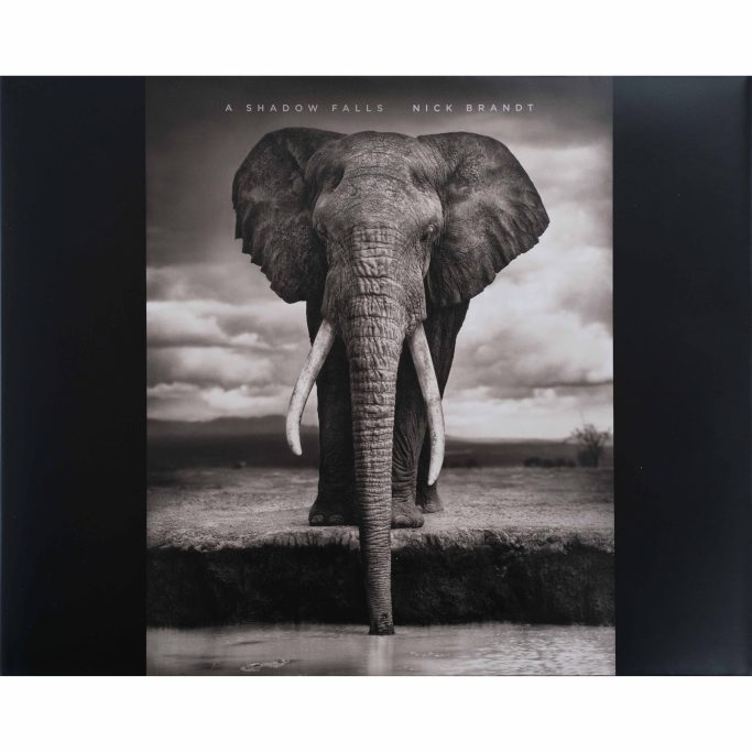 Find signed copy of Nick Brandt A Shadow Falls for sale