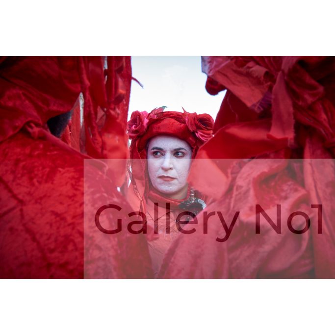 Find a photograph of a member of The Red Brigade, London Climate Rebellion