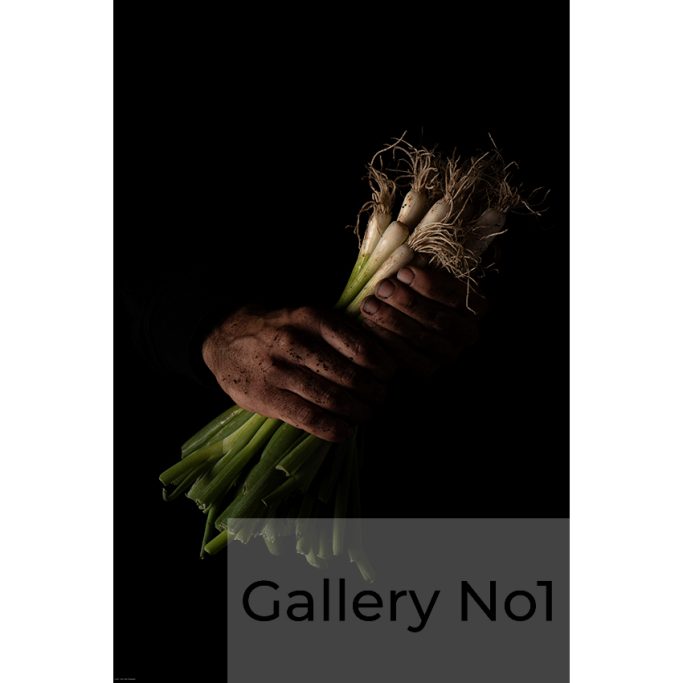 Search for photograph of spring onions for sale